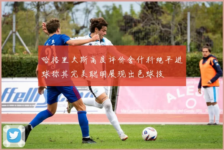 哈格里夫斯高度评价舍什科绝平进球称其完美聪明展现出色球技